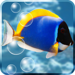 Aquarium Free Live Wallpaper App by Kittehface Software