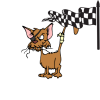 +angry+cat+checkered+flag+ clipart