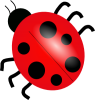 +ladybug+insect+ clipart