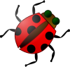 +ladybug+insect+ clipart