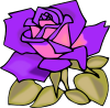 +rose+blossom+flower+plant+0002+ clipart