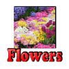 +flower+blossom+logo+ clipart