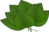 +leaves+plant+ clipart