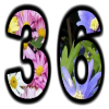 +number+flower+36+ clipart