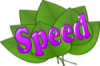 +words+text+leaves+speed+ clipart