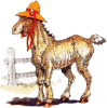 +animal+donkey+wearing+sun+hat+ clipart