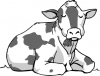 +farm+cattle+animal+Cow+sitting+chewing+ clipart