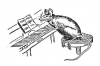 +rodent+mouse+playing+piano+ clipart