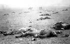 +history+civil+war+Battle+of+Gettysburg+ clipart