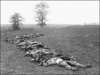 +history+civil+war+Confederate+dead+at+Antietam+lined+up+for+burial+ clipart