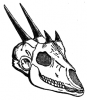 +animal+skull+of+four+horned+antelope+ clipart