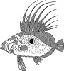 +animal+fish+dory+outline+ clipart