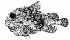 +fish+aquatic+Atlantic+spiny+lumpsucker+Eumicrotremus+spinosus+ clipart