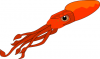 +sealife+aquatic+squid+01+ clipart