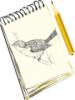 +art+craft+sketchpad+with+bird+ clipart