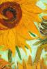 +art+painting+Van+Gogh+Sunflowers+1888+ clipart