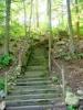 +architecture+stairs+on+hiking+trail+woods+ clipart