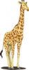 +animal+africa+giraffe+02+ clipart
