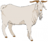 +animal+farm+Goat+clipart+ clipart