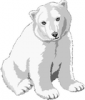 +animal+mammal+Ursidae+polar+bear+cub+ clipart