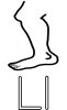 +education+learn+L+is+for+Leg+ clipart
