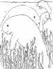 +line+art+outline+Coloring+Book+Manatee+ clipart