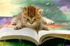 +read+cat+reading+ clipart