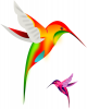 +animal+bird+Colibri+hummingbird+ clipart