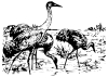 +animal+bird+Whooping+Cranes+BW+ clipart