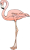 +animal+bird+flamingo+ clipart