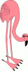 +animal+bird+flamingo+pink+ clipart