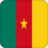 +flag+emblem+country+cameroon+square+48+ clipart