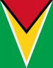 +flag+emblem+country+guyana+flag+full+page+ clipart