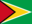 +flag+emblem+country+guyana+icon+ clipart