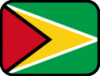 +flag+emblem+country+guyana+outlined+ clipart
