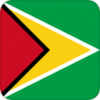 +flag+emblem+country+guyana+square+ clipart