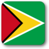 +flag+emblem+country+guyana+square+shadow+ clipart