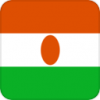 +flag+emblem+country+niger+square+ clipart
