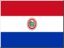 +flag+emblem+country+paraguay+icon+64+ clipart