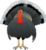 +animal+bird+turkey+angry+ clipart