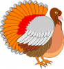 +animal+bird+turkey+bright+ clipart