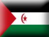 +flag+emblem+country+Western+Sahara+3D+ clipart