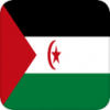 +flag+emblem+country+Western+Sahara+square+ clipart