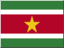 +flag+emblem+country+suriname+icon+64+ clipart