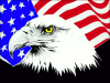 +flag+emblem+country+eagle+flag+ clipart