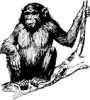+animal+chimp+sitting+in+tree+ clipart