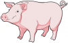 +animal+pig+cute+ clipart