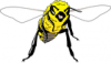 +bug+insect+bumblebee+bee+bold+ clipart