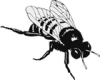 +bug+insect+bumblebee+bumble+bee+large+BW+ clipart