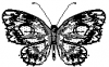 +bug+insect+flying+butterfly+3+ clipart